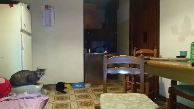 ragazzoporco83 — Cam4 stream photo (Mar 2026)