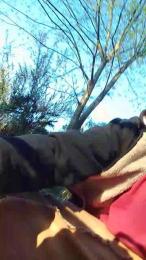 lLovePussy01 — Cam4 stream photo (Apr 2026)