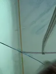 tuncube — Stripchat stream photo (Mar 2026)