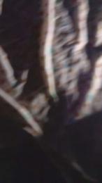 vale860 — cam4でウェブカムモデルオンライン