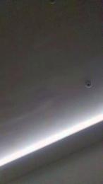 chicosolo0c — Cam4 stream photo (Apr 2026)