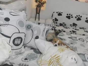 yinaross — chaturbateでウェブカムモデルオンライン