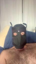 DILDOASS — Cam4 stream photo (Oct 2026)
