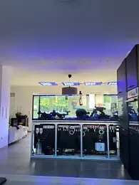 newMichelle — Stripchat stream photo (Apr 2026)