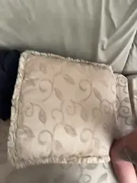 tinywild — stripchat