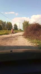 Ldblack — Cam4 stream photo (Sep 2025)