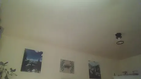 Allofitwayne — Stripchat profile photo