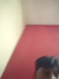 hornyflex_ledger — Stripchat stream photo (Apr 2026)