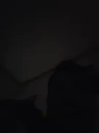 twistafatpipe — Stripchat stream photo (Jun 2026)