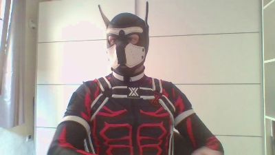 GelberBengel2ES — cam4でウェブカムモデルオンライン