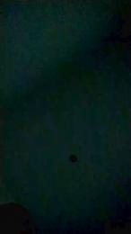 romerin20 — Cam4 stream photo (Mar 2026)