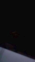 Moon6744 — Cam4 stream photo (Jul 2026)