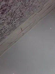 By_Aninha — Stripchat stream photo (Apr 2026)