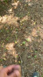 ParPadea — Cam4 stream photo (May 2026)