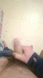 Tigrevk — Cam4 stream photo (Dec 2025)