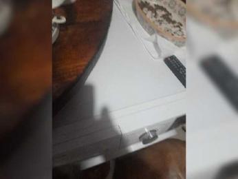 Sexy113bad — Bongacams stream photo (Dec 2023)