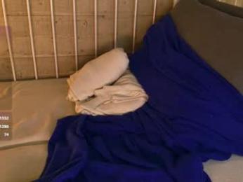 warmwhisp — Chaturbate stream photo (Mar 2026)