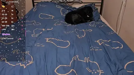 eva_zero — stripchat