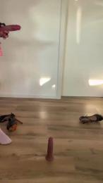 trannyforfunny — Cam4 stream photo (Nov 2025)