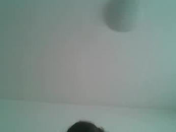 bigjames_chicago — Chaturbate stream photo (Jun 2026)