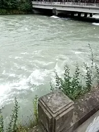 sengguangyuanlv — Stripchat stream photo (Jun 2026)