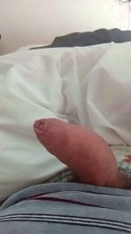 morenoymorena — Cam4 stream photo (Nov 2025)