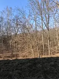 kot766 — Stripchat stream photo (Feb 2026)