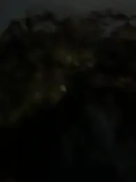 vergon0689 — stripchat