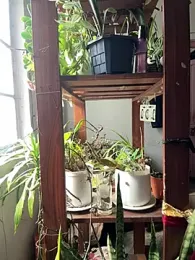 Lust_guy27 — Stripchat stream photo (Apr 2026)