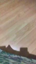 pollon531 — Cam4 profile photo