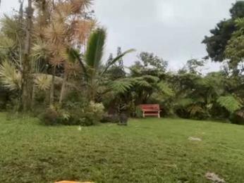 kaileeshy — chaturbate