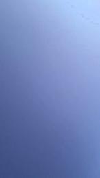 Tania__honey — cam4でウェブカムモデルオンライン