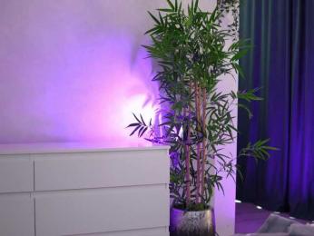 ArtTeasee — bongacamsでウェブカムモデルオンライン