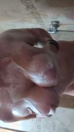 Larizos03 — Cam4 stream photo (Aug 2026)