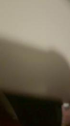 Stallone_ita_62 — Cam4 stream photo (Sep 2026)