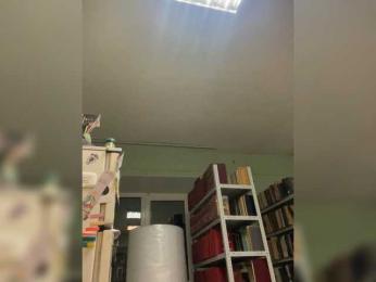 alina08 — bongacams