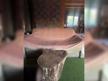 KrisandMaksim — Bongacams stream photo (May 2026)