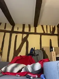 Toto-pika — Stripchat stream photo (Mar 2026)