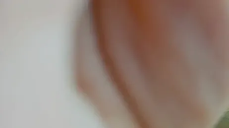 SweetPiggyx — Stripchat stream photo (Apr 2026)