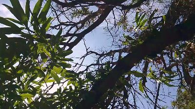 MONSTER777DADDY — cam4でウェブカムモデルオンライン