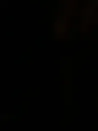 sonalsanskar — Stripchat stream photo (Mar 2026)