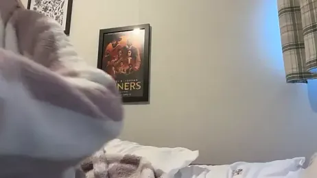 lilastorm7 — Stripchat stream photo (Jun 2026)