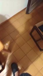 Teob — cam4でウェブカムモデルオンライン