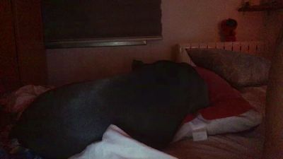 gorka19hot — cam4でウェブカムモデルオンライン