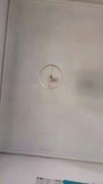 rizacanela — Cam4 stream photo (Mar 2026)