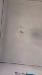 rizacanela — Cam4 stream photo (Mar 2026)