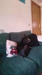 rizacanela — Cam4 stream photo (Mar 2026)