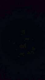 mehs5 — Cam4 stream photo (May 2026)