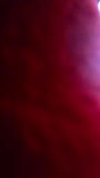 high_geil — Cam4 stream photo (Sep 2026)