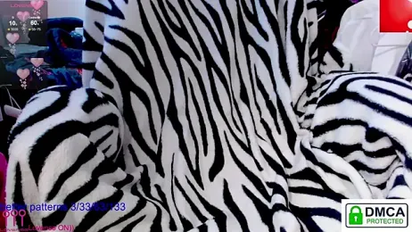 sweet_cute_cat — Stripchat stream photo (Jun 2026)